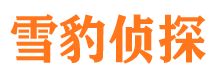 达日市侦探公司